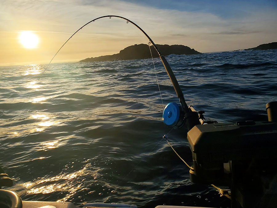 Lance's Sportfishing Adventures Boat, Tofino Fishing Charters, Salmon, Halibut, Year Round Fishing, Clayoquot Sound, Tofino Accommodation, Tofino Fishing Charters, Salmon, Halibut, Year Round Fishing, Clayoquot Sound, Tofino Acccommodation