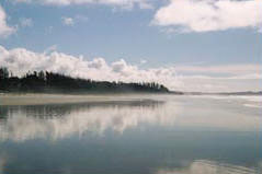 Lance's Sportfishing Adventures, Tofino Fishing Charters, Salmon, Halibut, Year Round Fishing, Clayoquot Sound, Tofino Accommodation, Tofino Fishing Charters, Salmon, Halibut, Year Round Fishing, Clayoquot Sound, Tofino Acccommodation